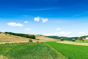 Wall Mural - green field
