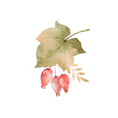 Wall Mural - Watercolor autumn bouquet of leaves, branches and dogrose berries isolated on white background.