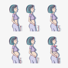 Sticker - set pregnancy cycle process of the week