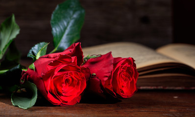 Wall Mural - Red roses and a vintage book on dark background