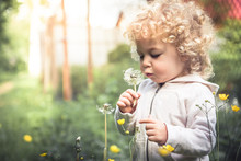 Cute Curly Curious Child Girl Looking Like Dandelion Blowing Dandelion During Summer Holidays In Park 