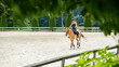 woman horseback riding beautiful brown mare and training in sandy outdoors manege at horse ranch.