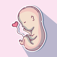 Sticker - baby with umbilical cord in heart shape