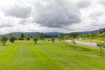 Wall Mural - Landscape of Green lawn in a beautiful garden