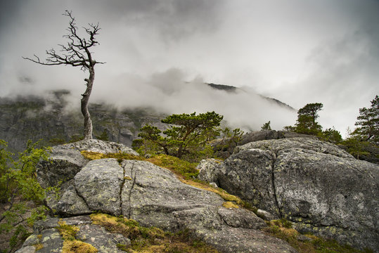 Fototapete -  Mountain landscape with the cloudy sky in Norway