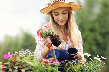 Woman growing flowers outside in summer