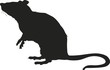 Vector silhouette of a rat