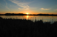 Sunset Over Lake With Trees And Cattails 