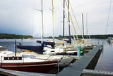 Fototapeta Pomosty - Segelboote auf der Havel in Berlin Tegeler See