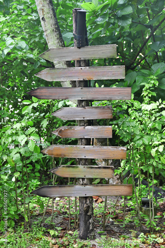 Blank directional signs in park on summer day