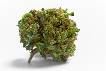 Close Up Of Medical Marijuana Presidential OG Strain Bud Isolated On Background
