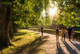Spaziergänger im Park in der Abendsonne