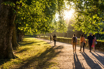 spaziergänger im park in der abendsonne