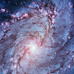 Wall Mural - messier 83, southern pinwheel galaxy, m83 in the constellation hydra.