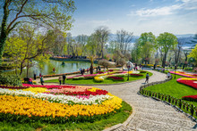 Traditional Tulip Festival In Emirgan Park, A Historical Urban Park Located In The Sariyer District Of Istanbul, Turkey. Tourists Visit And Spend The Weekend.ISTANBUL/TURKEY- APRIL 15,2017