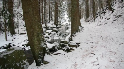 Wall Mural - Gruenbach im Riesengebirge Winter