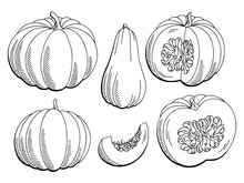 Pumpkin Graphic Black White Isolated Sketch Illustration Vector