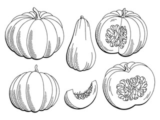 Pumpkin graphic black white isolated sketch illustration vector