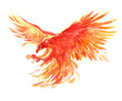 Watercolor single character mystical mythical character phoenix isolated on a white background illustration