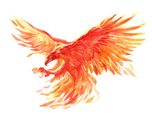 Watercolor Single Character Mystical Mythical Character Phoenix Isolated On A White Background Illustration