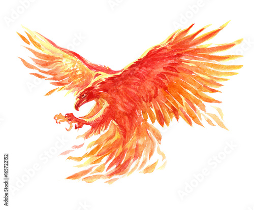 Watercolor single character mystical mythical character phoenix isolated on a...