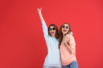 Poster - Happy ladies friends standing isolated