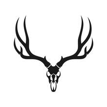 Deer Head Skull. Vector Logo