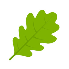Canvas Print - Green oak leaf vector illustration
