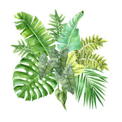 Watercolor tropical leaves