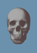 Engraving  Skull Vector Illustration Front View On Blue BG