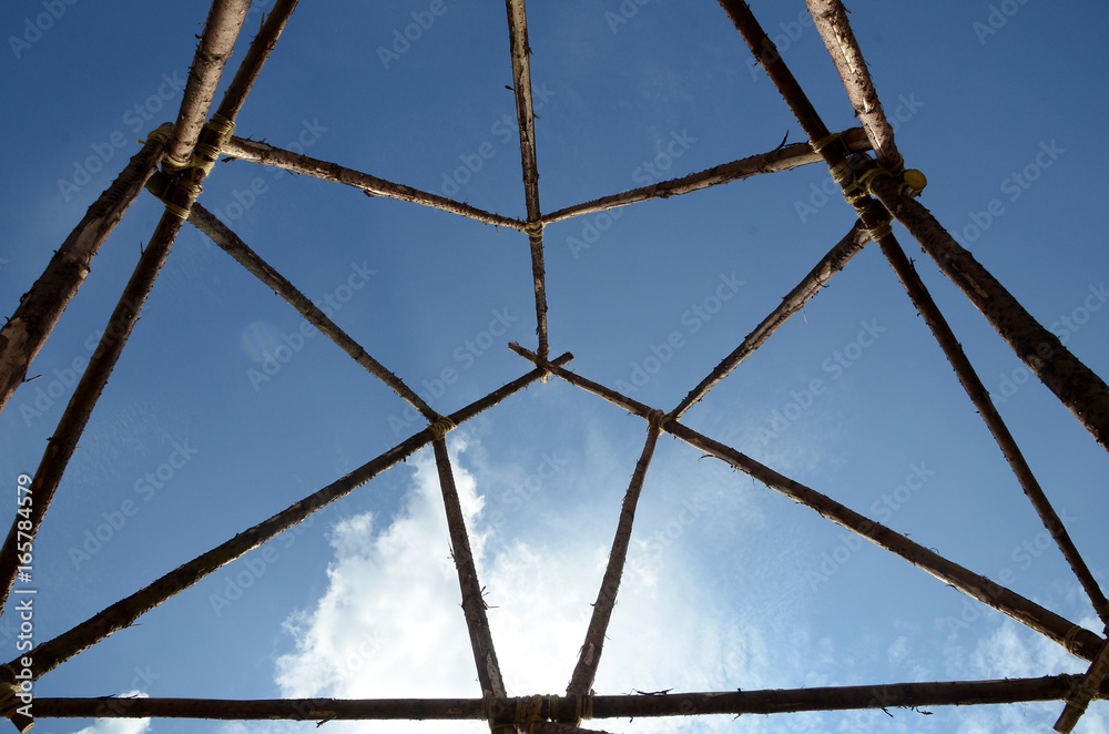 Stems Rope Spruce stems tied together scout-wise with rope in a tower-like ...