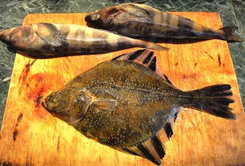 Fish, flat fish, flounder, sea fish, seafood, fresh fish, food, striped fins, triangular fish, fish on a cutting board