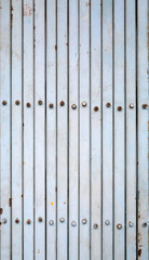 Wall Mural - Detail of metallic door fence.