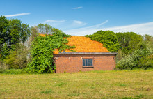 Old Barn With Orange Tiled Roof Overgrown With Wild Plants