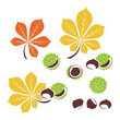 Chestnut icon or logo in modern line style. Vector illustration on a white background.