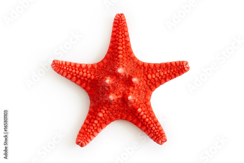 Cuadros en Lienzo Dried red sea starfish isolated on white background. Top view