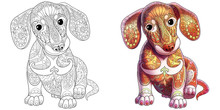 Coloring Book Page Of Dachshund Puppy Dog. Monochrome And Colored Samples. Freehand Sketch Drawing For Adult Antistress Colouring With Doodle And Zentangle Elements.