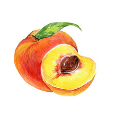 Apricot