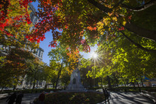 Montreal, Dorchester Square, In Autumn
