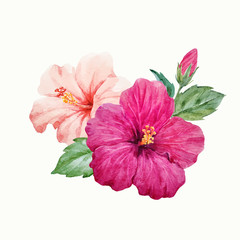 Canvas Print - Watercolor vector tropical hibiscus flower