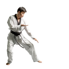 Portrait of an asian professional taekwondo black belt degree (Dan) preparing for fight. Isolated full length on white background with copy space