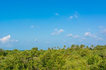 Wall Mural - Blue Sky 