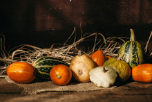 Colourful Squash On Wooden Background