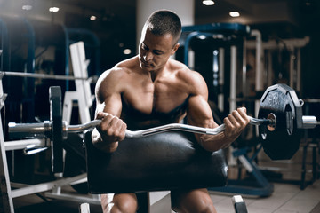 Young adult bodybuilder lifting weight  in gym.