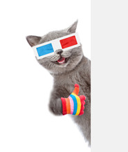 Happy Cat In The 3d Glasses Showing Thumbs Up Behind White Banner. Isolated On White Background