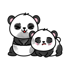 isolated cute two panda bears