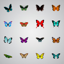 Realistic Tropical Moth, Archippus, Lexias And Other Vector Elements. Set Of Moth Realistic Symbols Also Includes Morpho, Red, Monarch Objects.