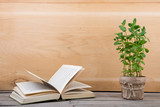 Fototapeta  - Education and reading concept - books and green plant