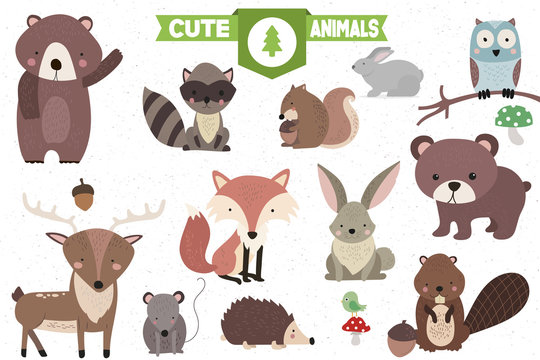 Wall Mural -  - Collection of Cute Forest Animals