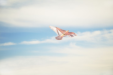 Kite flying in the Sky